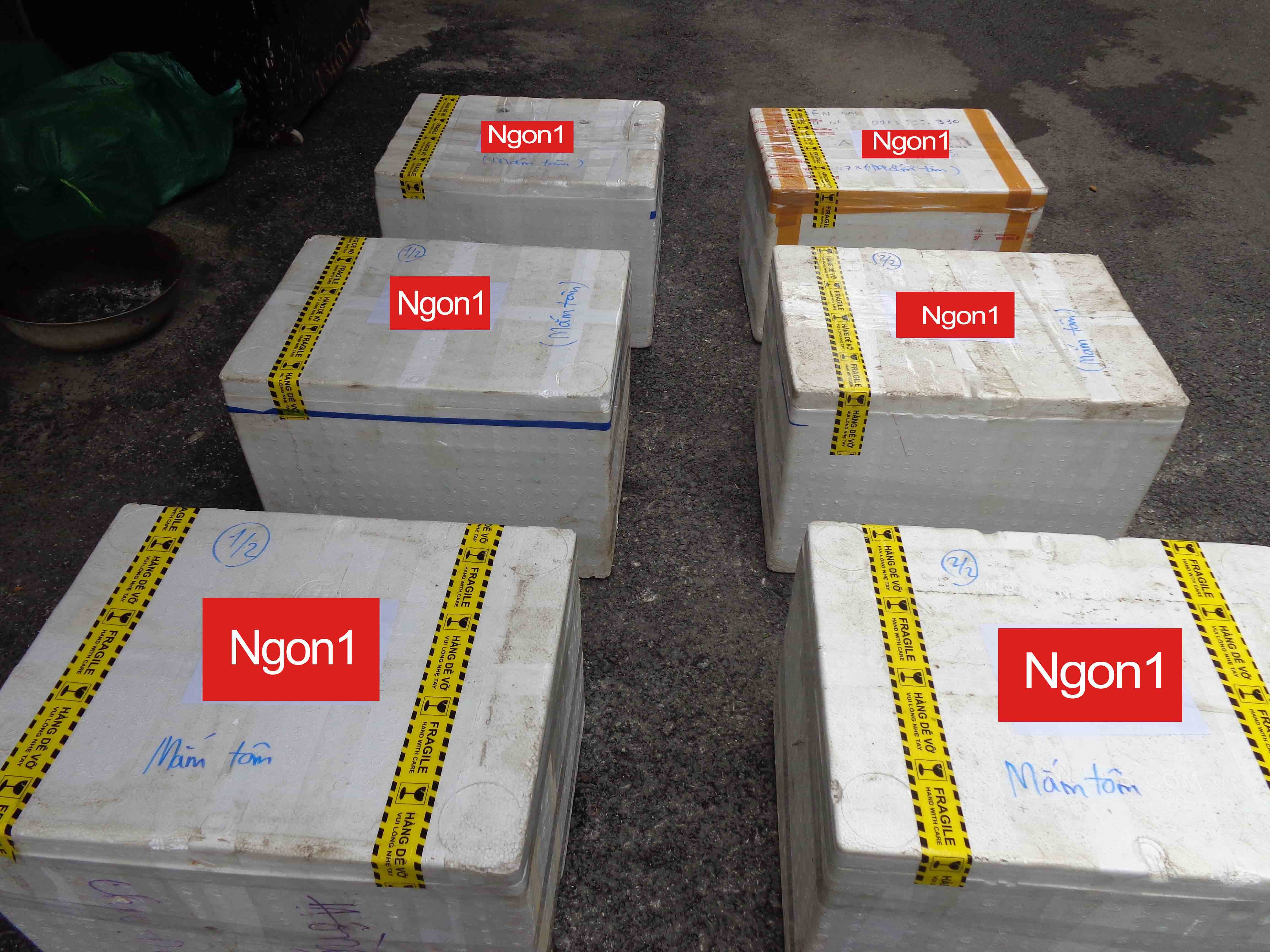 Mắm tôm đặc sản Thanh Hóa loại đặc biệt chuyên dùng nhà hàng (can 5l)